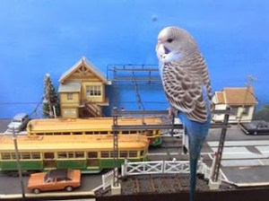 1458711_10152066299369664_362333344_n