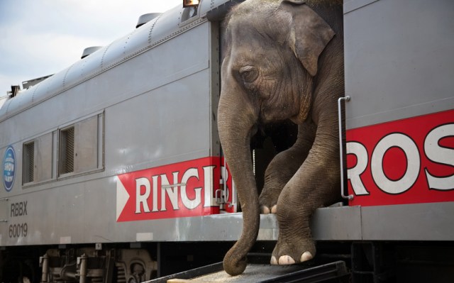 sony-photo-awards-_3580385k