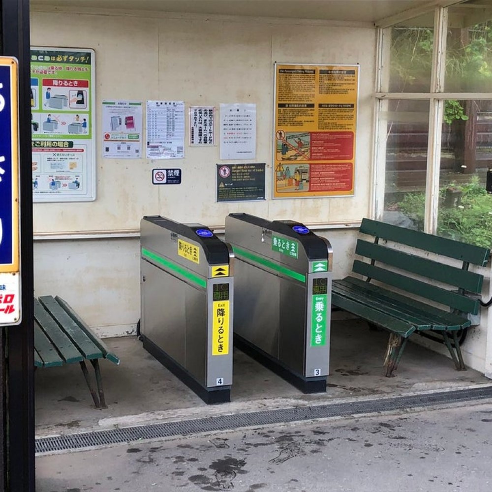 17.They-Trust-the-People