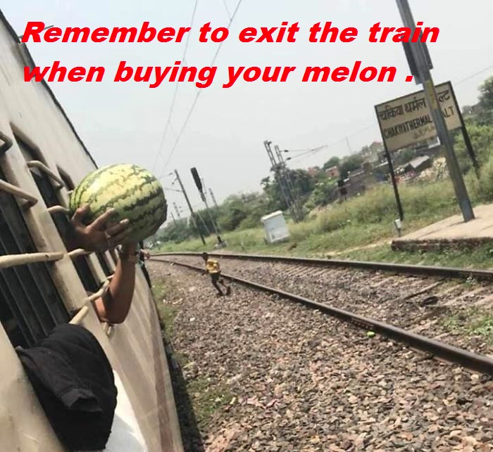 1 - melon