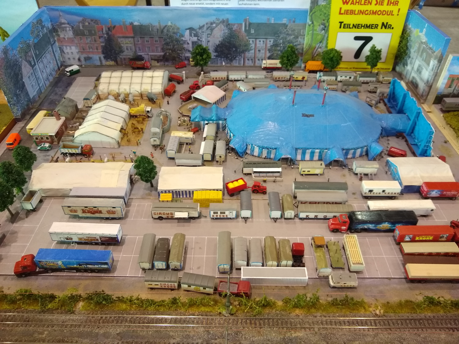 IMG_20211119_095122344