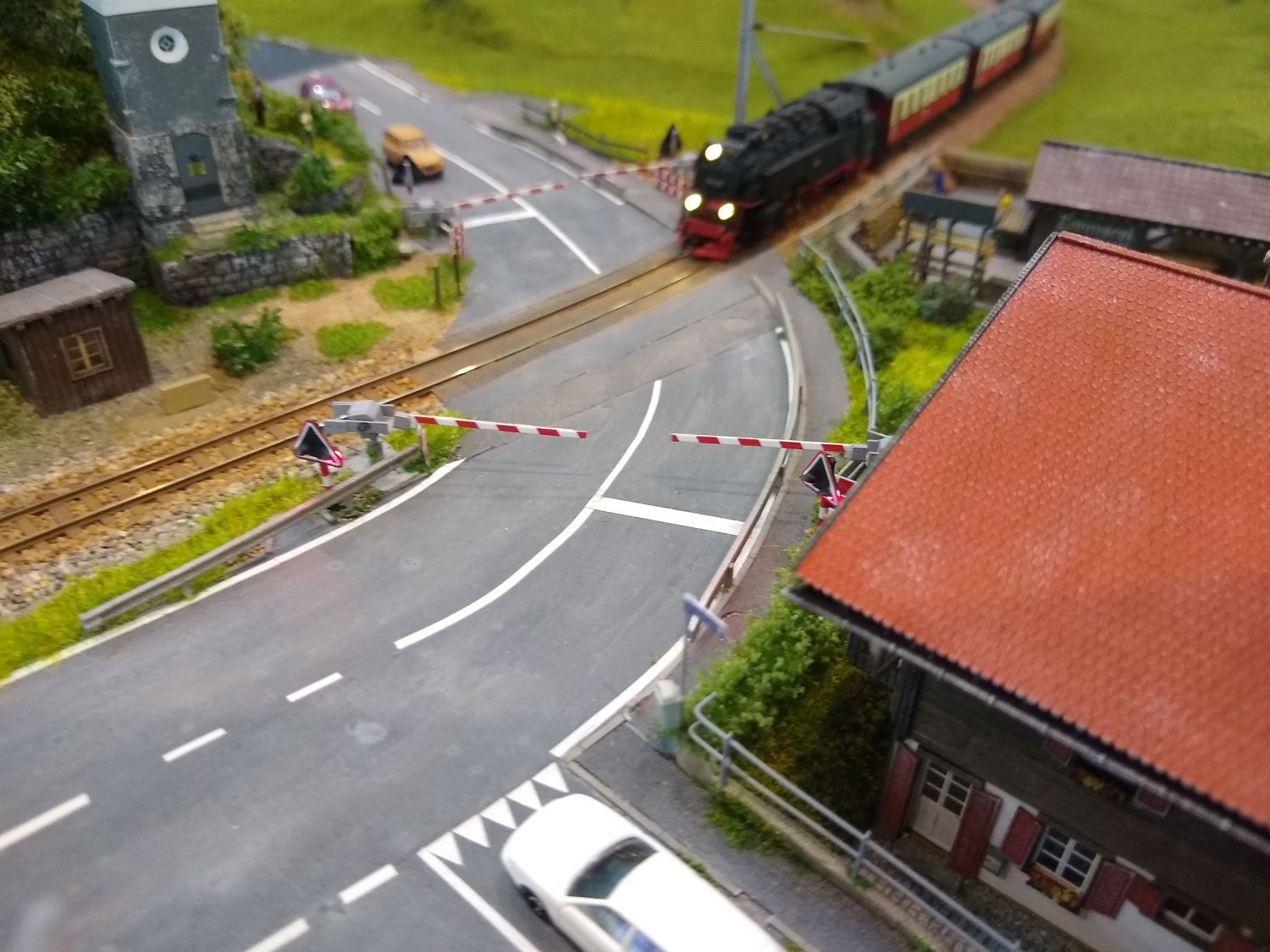 IMG_20211119_115346016