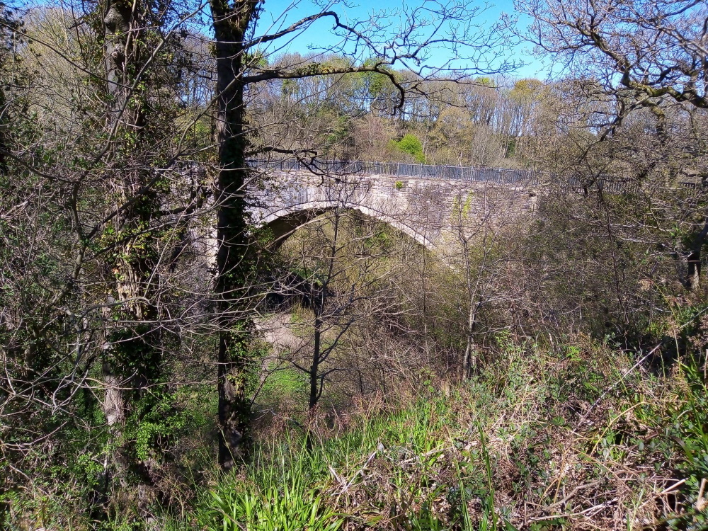 IMG_20220423_120441_649