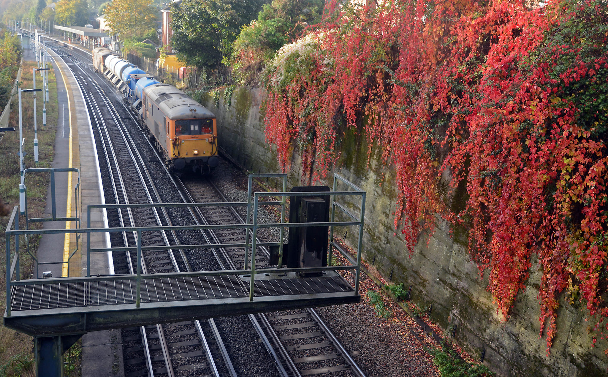 earlswood2016nickslocombe