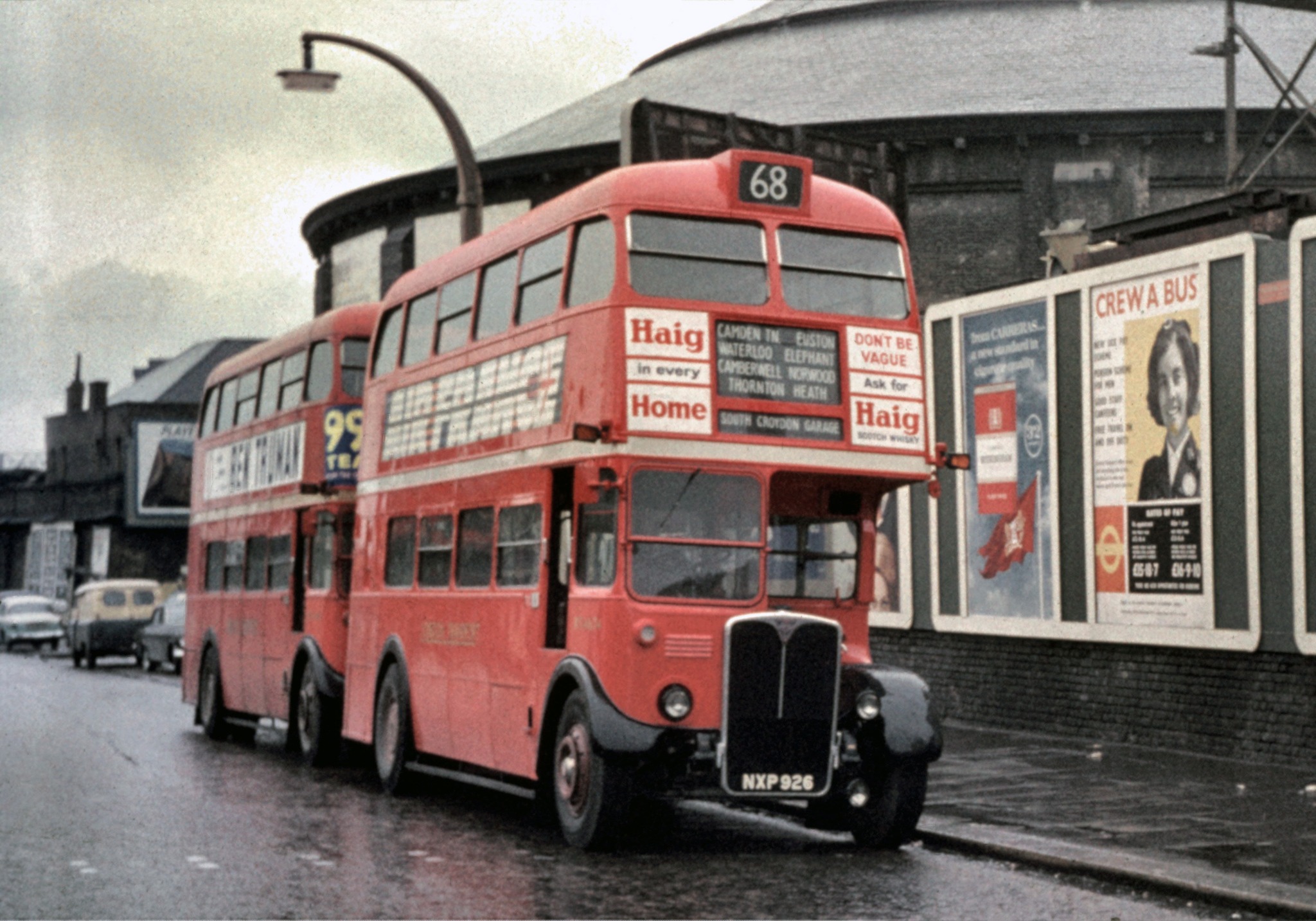 chalk farm david potter