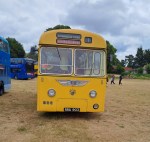 495b29ba-0873-406d-bfa0-380f6da75a32